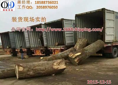 吉林柳河至杭州經濟開發區20尺貨柜點對點運輸解決方案與高清內貿海運產品展示